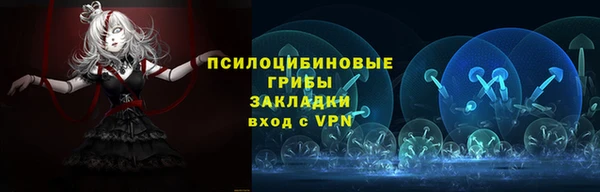 ECSTASY Покров