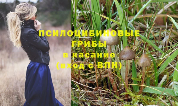 ECSTASY Покров