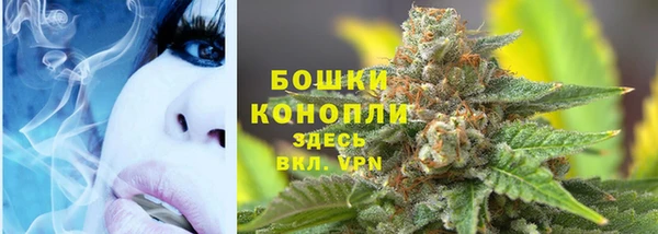ECSTASY Покров