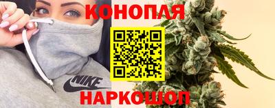 СК Гай