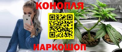 крисы Бугуруслан