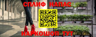 дурь Гагарин