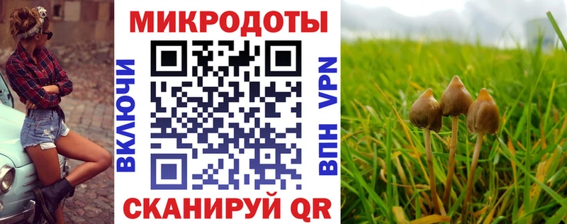 закладки  Иваново  Галлюциногенные грибы MAGIC MUSHROOMS 