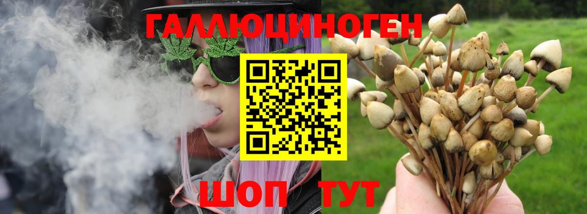 Галлюциногенные грибы Psilocybine cubensis  купить закладку  Иваново  Вход с VPN 
